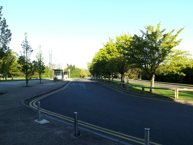Campus Road on Stag Hill Campus at The University of Surrey