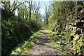 Trail to Lamb Island Bird Hide