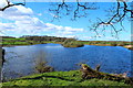 The River Dee from the Bird Hide on Lamb Island