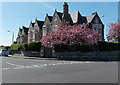 Gables and spring blossom in Coleridge Road, Clevedon