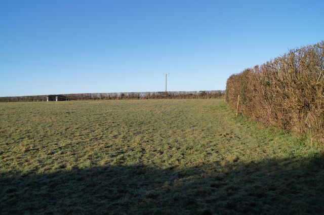 Frosty field - Lane End