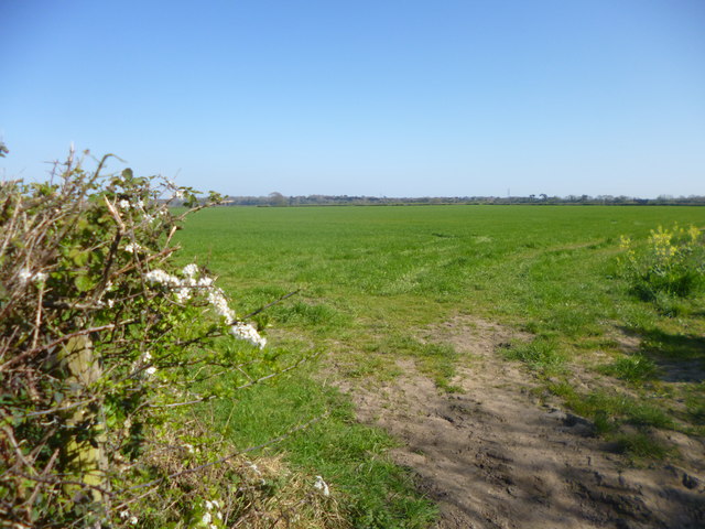 Burton, grassland