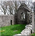 The eastern church at Killevey