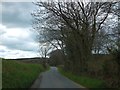SX4985 : Road just east of Hedge Cross by David Smith