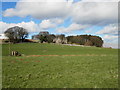 Kirkton Barns Farm