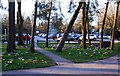 Flower beds near car park, Brueton Park, Solihull