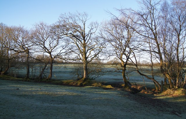 Frosty fields