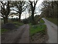 Start of a bridleway on Beara Down