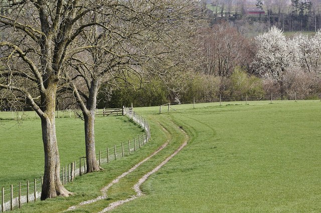 Footpath from English Bicknor to Lower Lydbrook