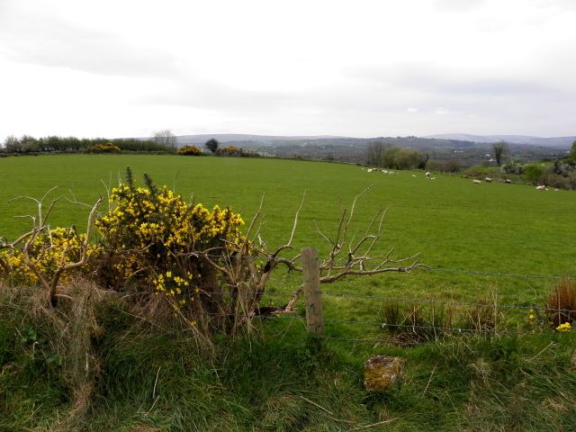 Tullymuck Townland