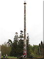 SU9869 : Totem pole at Virginia Water by Stephen Craven