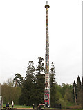SU9869 : Totem pole at Virginia Water by Stephen Craven
