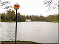 SU9669 : View across Virginia Water to the boathouse by Stephen Craven