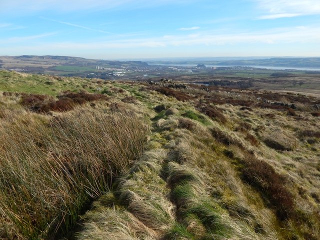 Carman Hill-fort: line of inner enclosure