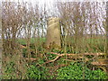 ST4705 : Triangulation Pillar in hedge to west of reservoir near Picket by Peter Wood