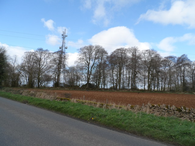 Communications mast and line of trees