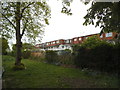 The backs of houses on Meadvale Road from Pitshanger Park