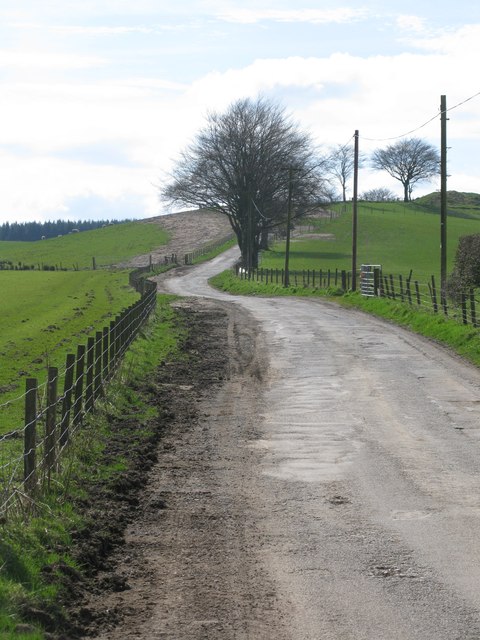 Road to Carrot Farm