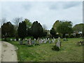 St Mary, Chalgrove: churchyard (7)