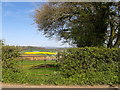 View of farmland near Higher Nunnington farm