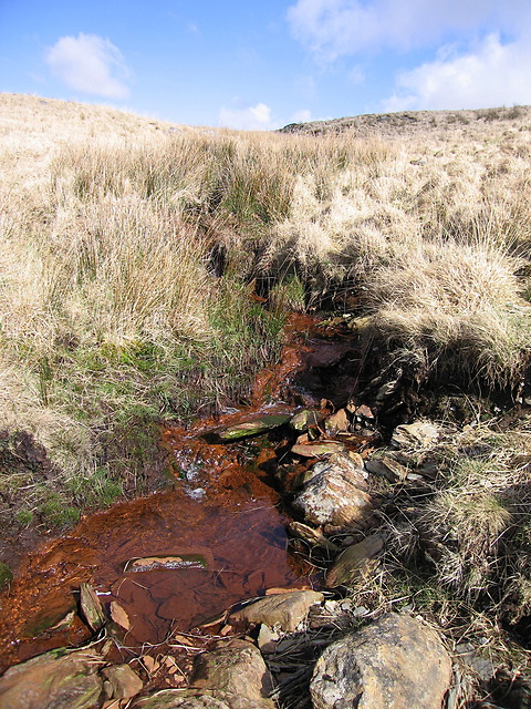 Unnamed tributary of the upper Irfon