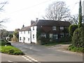 Houses by the Green in Thursley