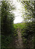 TM3569 : Loves Lane footpath by Geographer