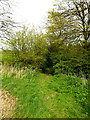TM3569 : Loves Lane footpath to Pouys Street by Geographer