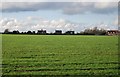 Houses south of Ashbocking