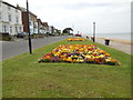 Flowerbed, Queens Road, Cowes