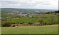 The view towards Bessbrook from the Mountain Road