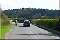 Gotham Road near Firs Farm