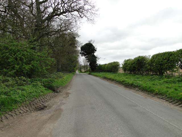 Road next to Mossymere Wood