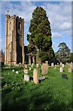 ST4916 : Montacute church by Philip Halling