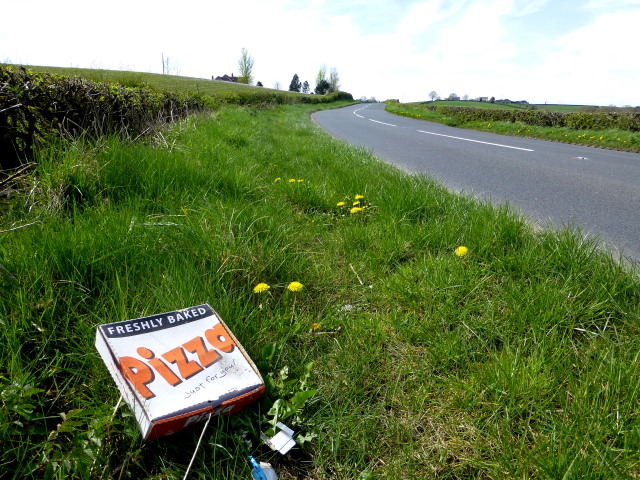 A discarded Pizza box along Gillygooly Road