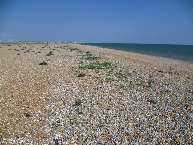 Beach at Rye Harbour Nature Reserve