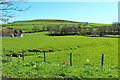 Farmland at Dundrennan