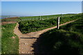 Temporary route of the coast path goes right