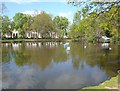 Village Pond, Buckhurst Hill