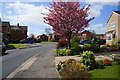 Crawshaw Avenue, Beverley