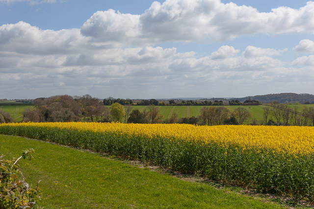 Square field on South Lynch estate