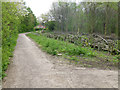 Path on Toton Fields