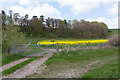 Field and woodland west of Berrydown Farm