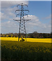 SU4027 : Pylon W28 near Berrydown Farm by Peter Facey