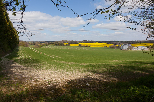 Fields west of Standon