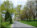 Penshurst Road alongside Penshurst Park