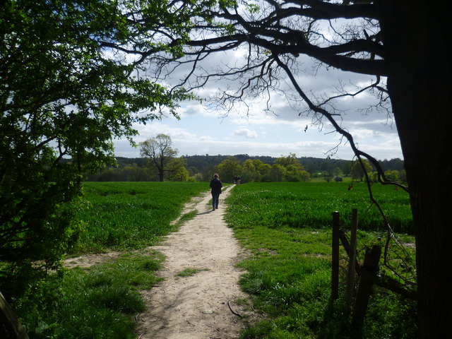 Path out of Chiddingstone