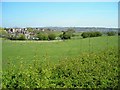 Field next to Newton Road (A4041)