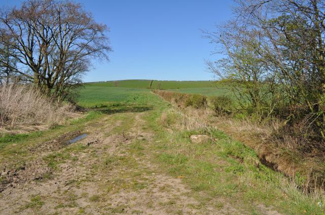 Calais Muir Wood, Fife - area information, map, walks and more