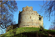 SJ3165 : The Keep of Hawarden Old Castle by Jeff Buck